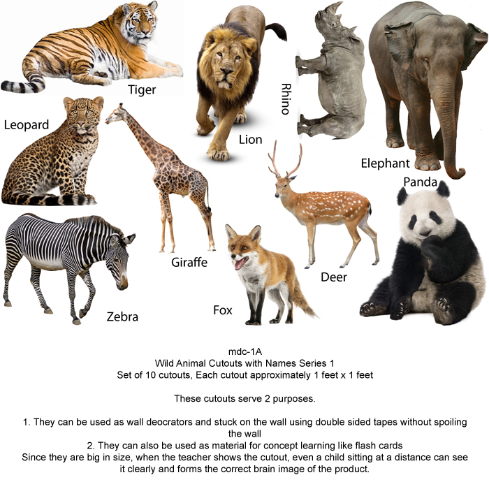 wild animals part 1 - MyKidsArena Play School Furniture & Play School Toys  in India